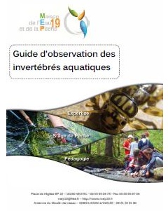 Guide d'observation des invertébrés aquatiques