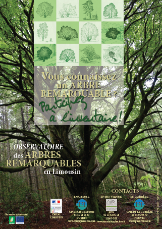Les Arbres Remarquables Du Limousin Sur France 3 Dreal Nouvelle Aquitaine