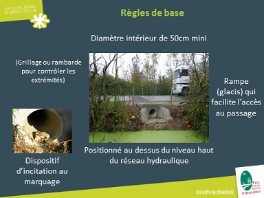 Buse - Règles de base - Xavier Baron