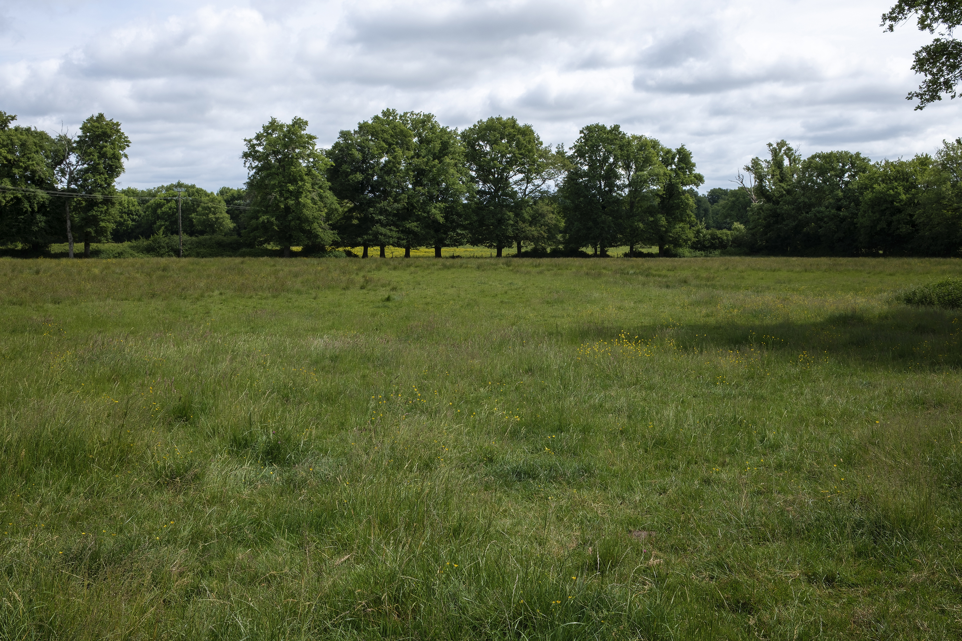 Image 7 : Concours "Prairies fleuries"