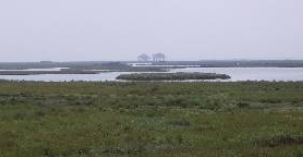 Ile aux Oiseaux (Gironde)