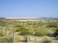 © DREAL NA et Syndicat Mixte de la Grande Dune du Pilat