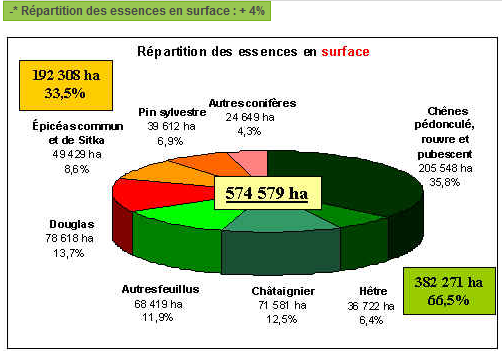 Répartition des essences en surface