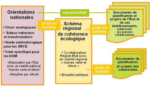 Schéma - Le SRCE entre le niveau national et le niveau local