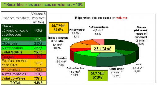 Répartition des essences en surface