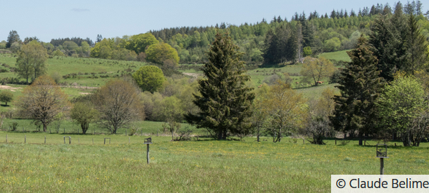 PNR millevaches observatoire photographique du paysage