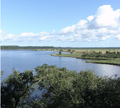 Étang du Cousseau (Gironde) RNN - Crédit photo : Alexandre DUMAITRE - DREAL Nouvelle-Aquitaine